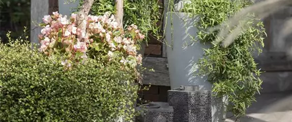 Akzente setzen - Beleuchtung im Garten