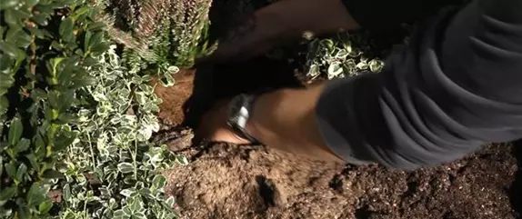 Doppelgrab - Grabbepflanzung im Herbst