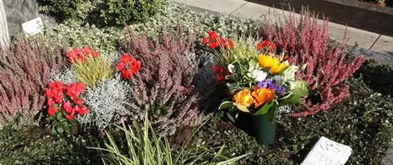 Doppelgrab - Grabbepflanzung im Herbst