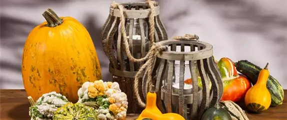 Es wird bunt! Herbst-Deko im Haus